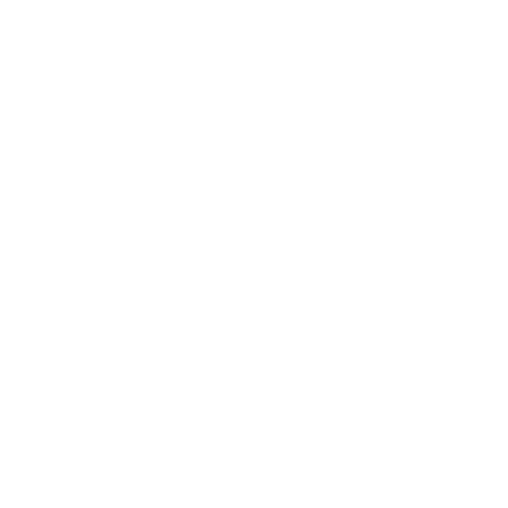 ZS main logo