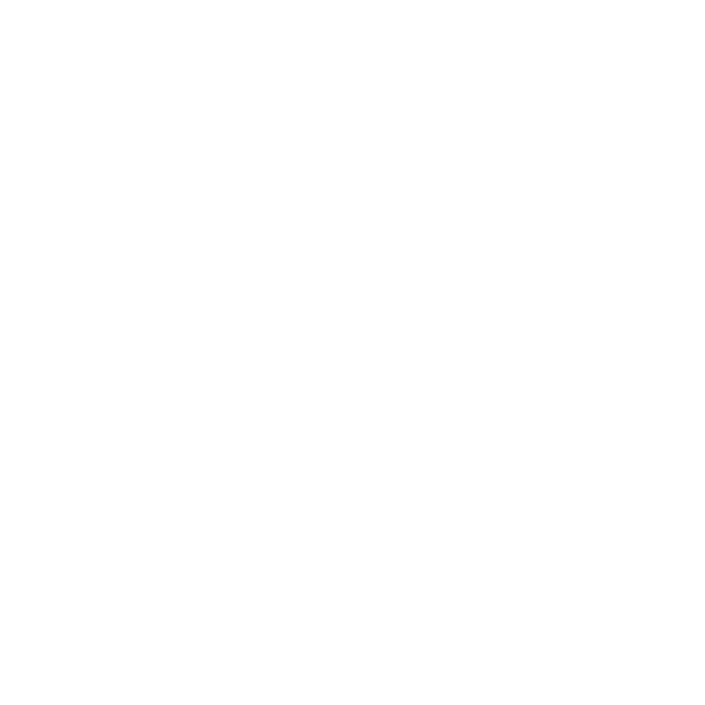 ZS main logo and text